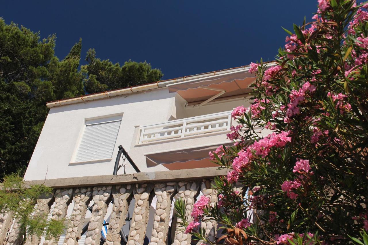 Zorana Apartment Mimice Bagian luar foto