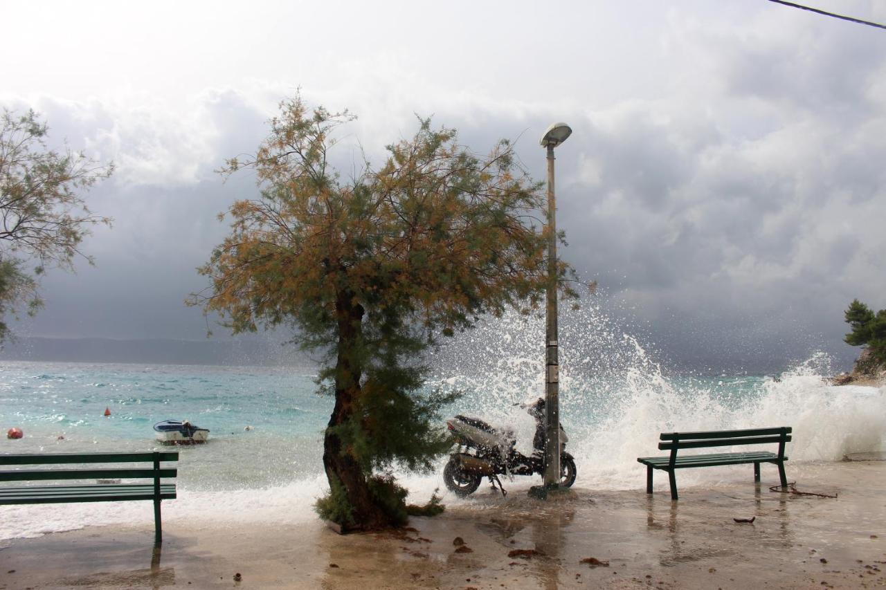 Zorana Apartment Mimice Bagian luar foto