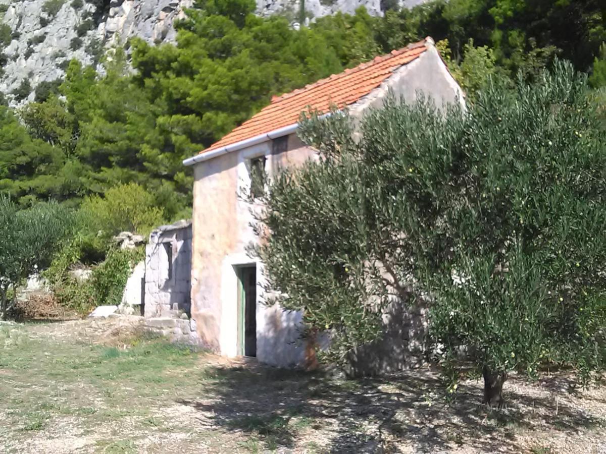 Zorana Apartment Mimice Bagian luar foto