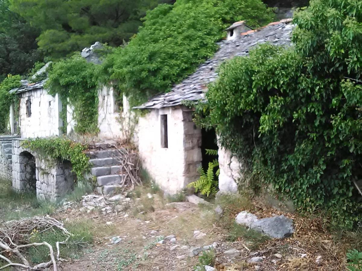 Zorana Apartment Mimice Bagian luar foto